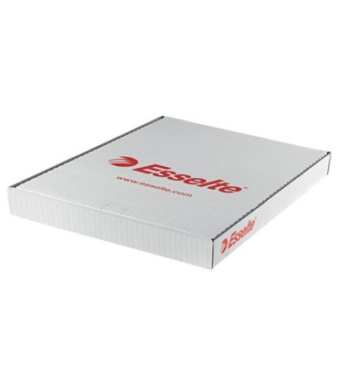 Euroobaly U Esselte v krabici - A4, lesklé, 55 mic, 100 ks