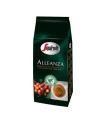 Zrnková káva Segafredo Alleanza, 1000 g