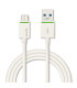 Kabel Leitz Complete, USB-C 3.1 na USB-A 3.1, 1 m