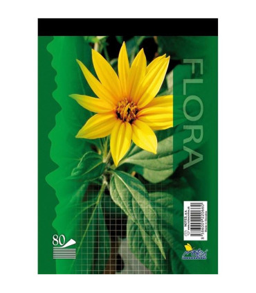 Poznámkový blok, A5, 80 listů, čtverečkovaný