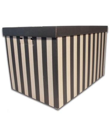 Krabice úložná BIG BOX s víkem 37x36x56 cm, 2 ks