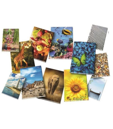 Záznamní kniha s rejstříkem, A5,linkovaná,96 listů