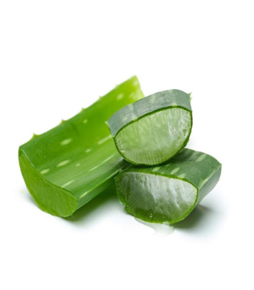 Bylinný čaj Biogena Aloe vera a ostružina, 20 x 2,5g