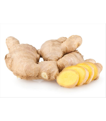 Ovocný čaj Pickwick mango se zázvorem, 20 x 2 g