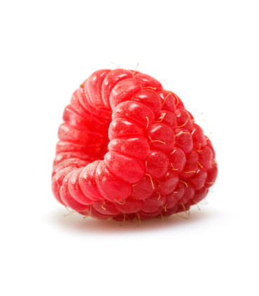 Černý čaj Puro - lesní ovoce, Fairtrade, 25 x 2 g