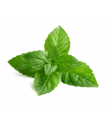 Bylinný čaj Puro - Máta, bio, Fairtrade, 25 x 1,5 g