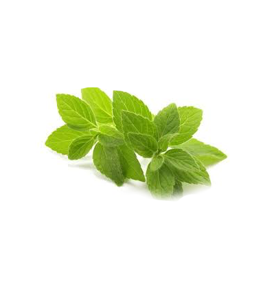 Bylinný čaj Teekanne - máta, 20 x 1,5 g