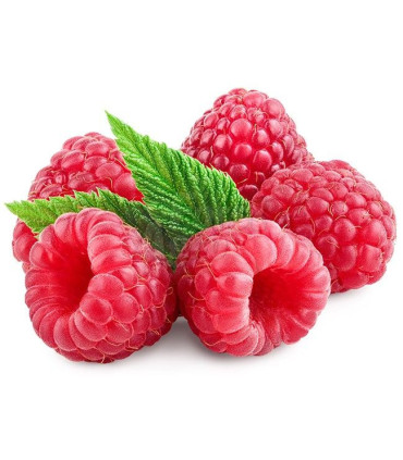 Ovocný čaj Teekanne lesní směs, 20 x 2,5 g