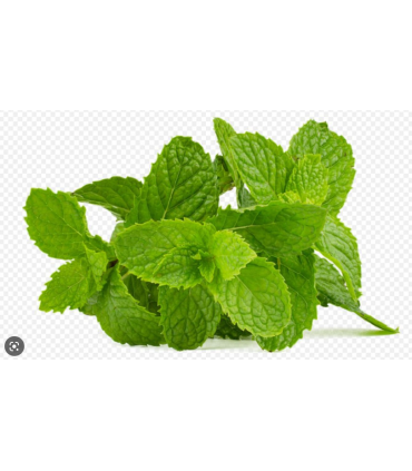 Mátový čaj Pure Tea Selection, 25 x 1,5 g