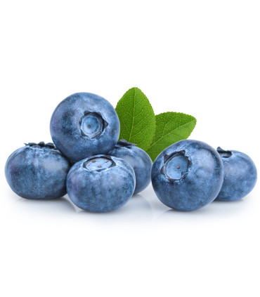 Ovocný čaj Pickwick Borůvka, 20 x 2g