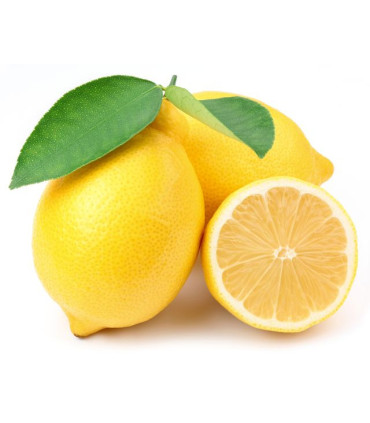 Bylinný čaj London Tea podporující imunitu - citron & zázvor, Fairtrade, 20 x 2g