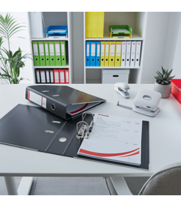 Pákový pořadač Esselte No.1 Vivida - A4, šíře hřbetu 5 cm, zelený