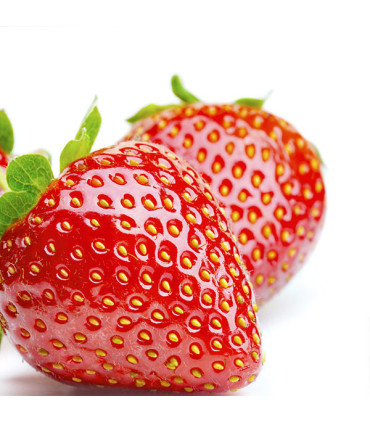 Ovocný čaj Pickwick - variace pomeranč, 20 x 2 g