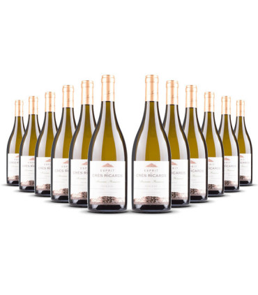 Chateau des Cres Ricards, Marsanne-Roussanne 2021, IGP