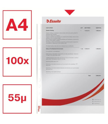 Euroobaly U Esselte v krabici - A4, lesklé, 55 mic, 100 ks