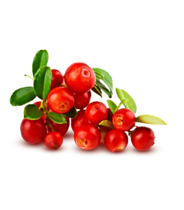 Kolekce ovocných čajů Teekanne, 30 ks