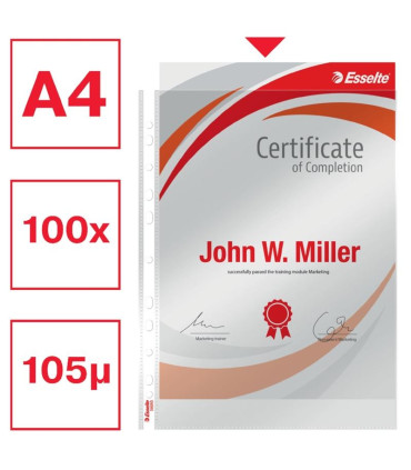 Euroobaly U Esselte v krabici - A4, lesklé, 105 mic, 100 ks