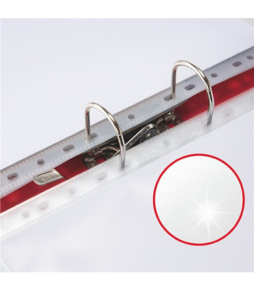 Euroobaly U Esselte v krabici - A4, lesklé, 105 mic, 100 ks