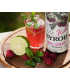 Kitl Syrob - malinový sirup 0,5 l