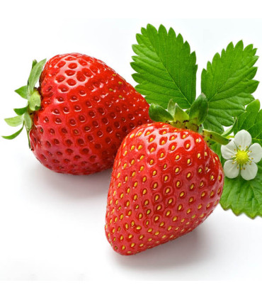 Ovocný čaj Teekanne - fruit kiss, 20x 2,5 g