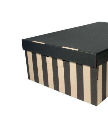 Úložná krabice BIG BOX - hnědočerné, s víkem, 37 x 18 x 56 cm, nosnost 10 kg, 2 ks