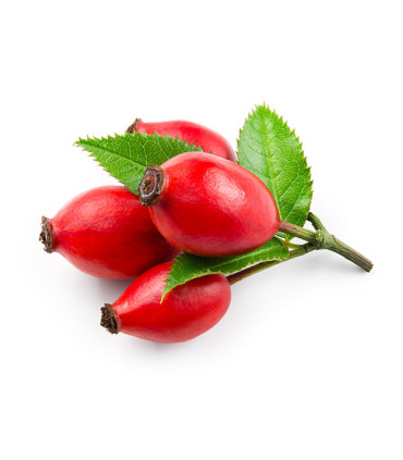 Ovocný čaj Pure - lesní plody, 25x 3,5 g