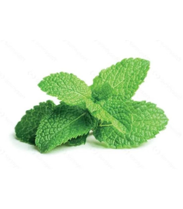 Ovocný čaj Pure - lesní plody, 25x 3,5 g