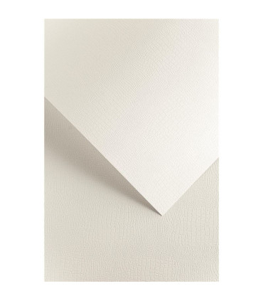 Ozdobný papír A4 Borneo - 220 g/m2, bílý, 20 listů